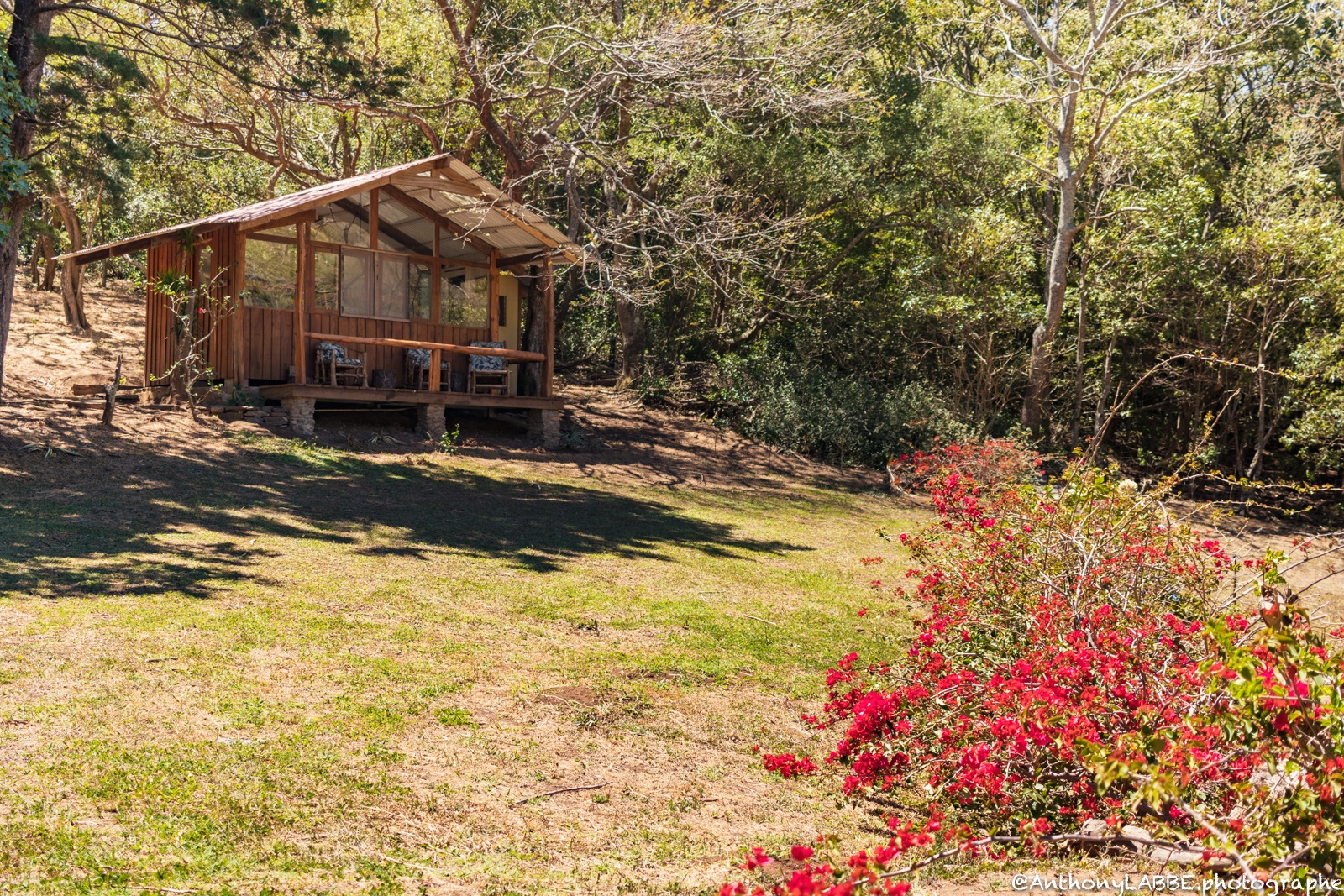 logement Airbnb à Monte Verde au Costa Rica