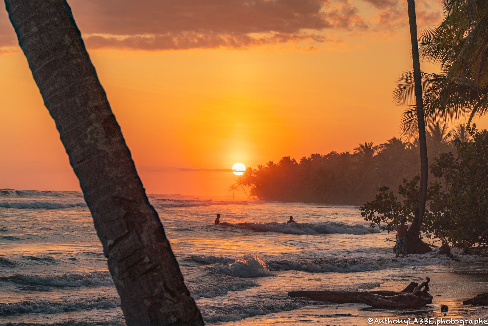 Surfeur au couche de soleil dans le parc Marino Ballena au Costa Rica
